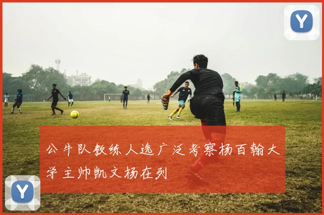 公牛队教练人选广泛考察杨百翰大学主帅凯文杨在列