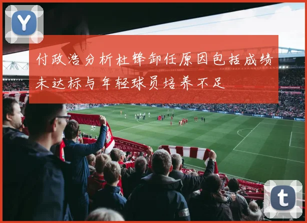 付政浩分析杜锋卸任原因包括成绩未达标与年轻球员培养不足