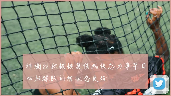 特谢拉积极恢复伤病状态力争早日回归球队训练状态良好